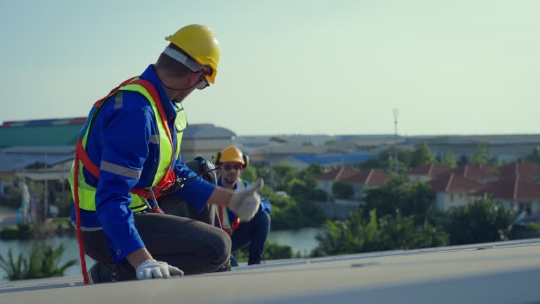 Best Chimney Flashing Repair  in Shoshone, ID