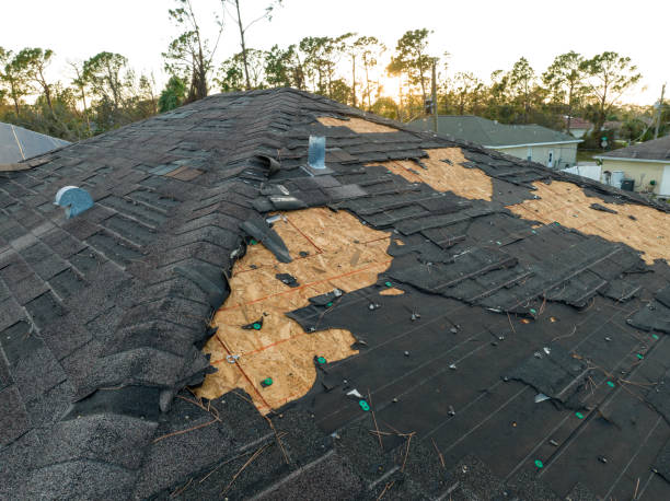 Best Roof Maintenance and Cleaning  in Shoshone, ID